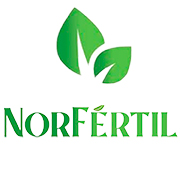 Norfertil